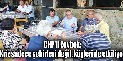 CHP'li Zeybek: Kriz sadece şehirleri değil, köyleri de etkiliyor