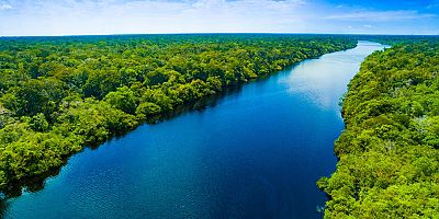 TEMA Vakfı: Barışçıl bir dünya için orman ve su varlıklarına ihtiyacımız var!